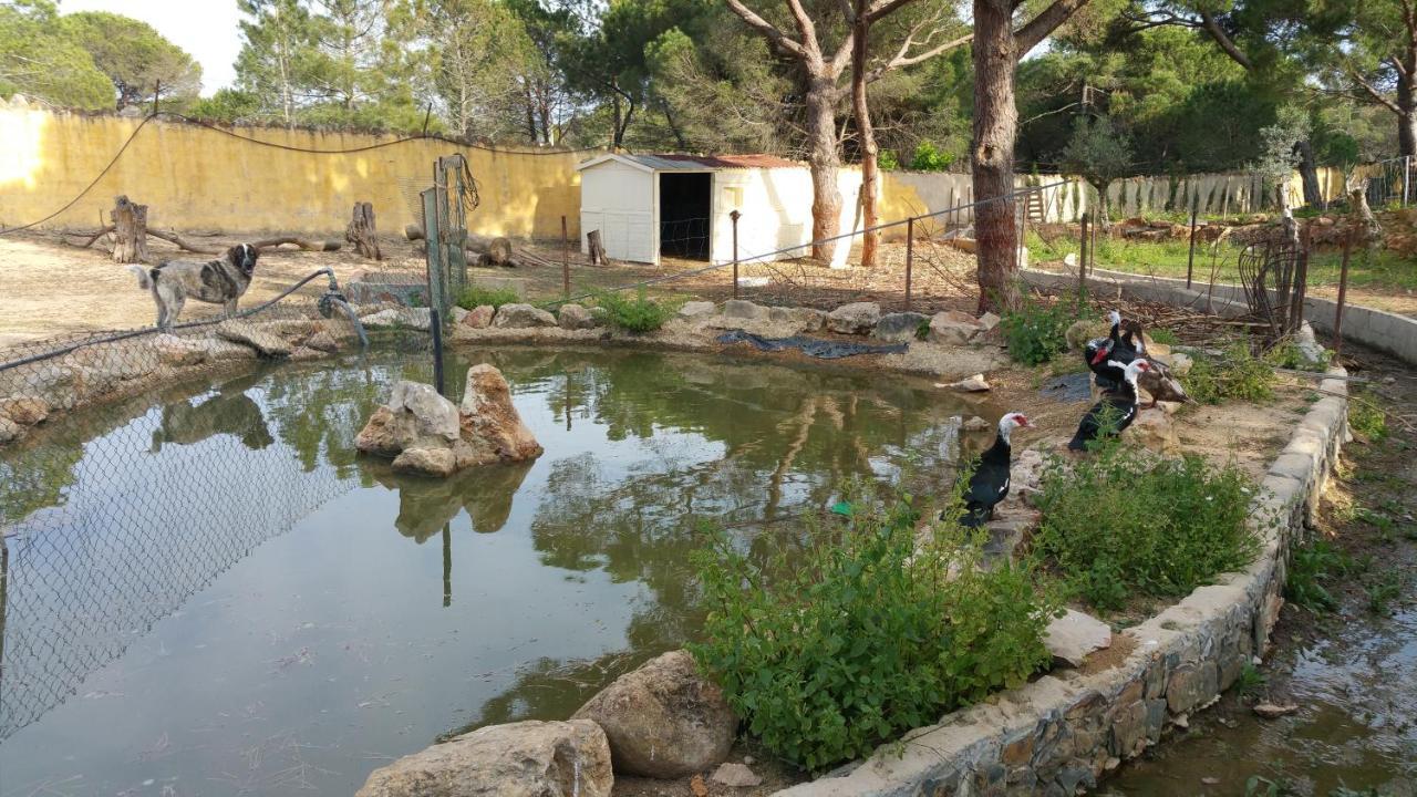 Quinta Vita - Vila Pera Almancil Exterior photo